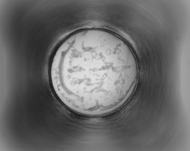 X0000091641464200709201059