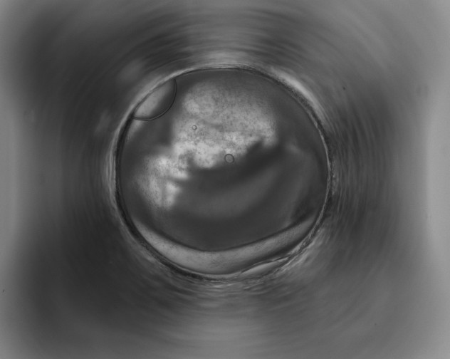 X0000091641467200709201059
