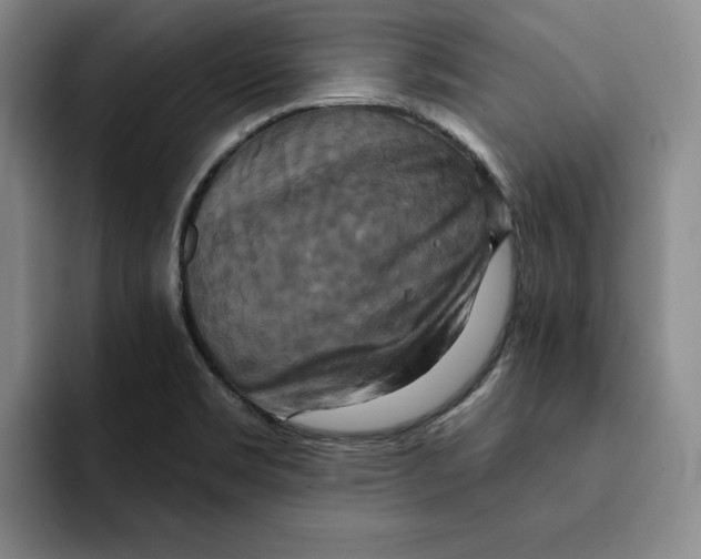 X0000091641469200709201059