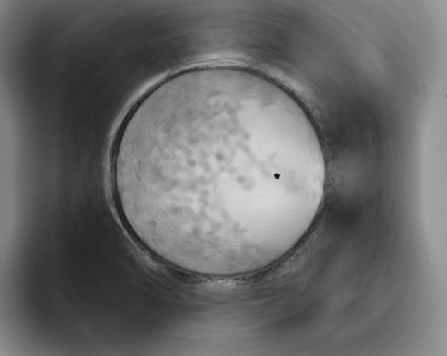 X0000091641470200709201059