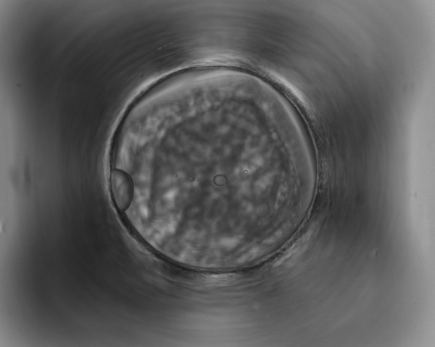 X0000091641471200709201059