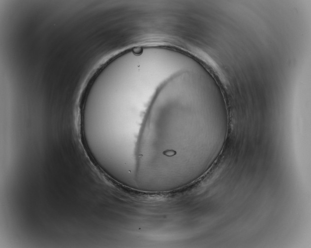 X0000091641472200709201059