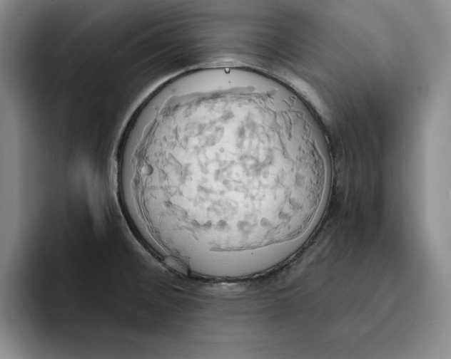 X0000091641476200709201059