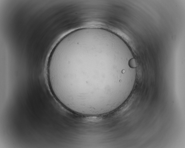 X0000091641478200709201059