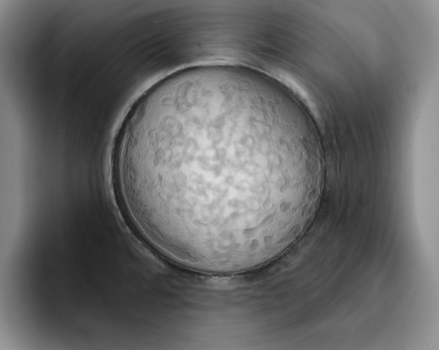 X0000091641480200709201059