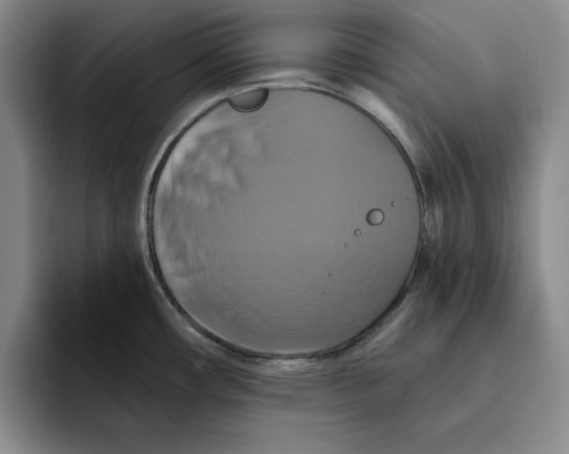 X0000091641482200709201059