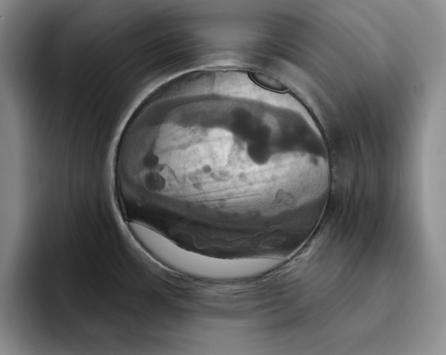 X0000091641483200709201059