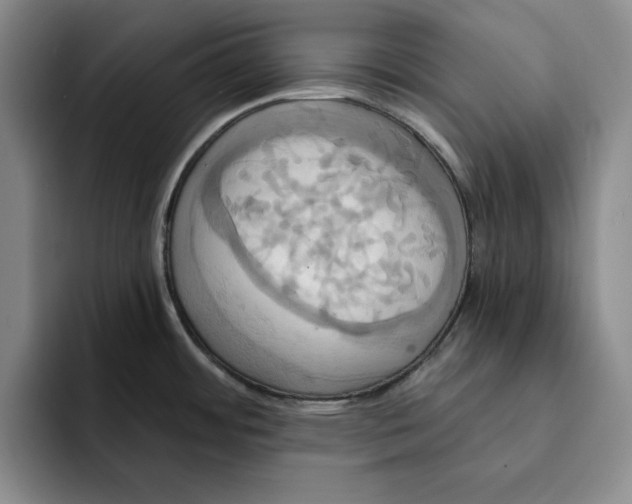 X0000091641484200709201059