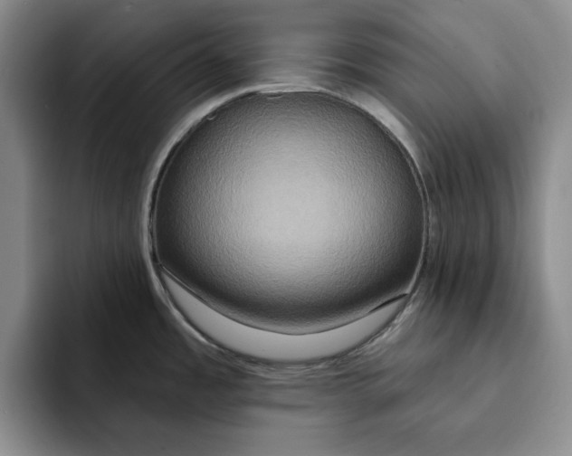 X0000091641485200709201059