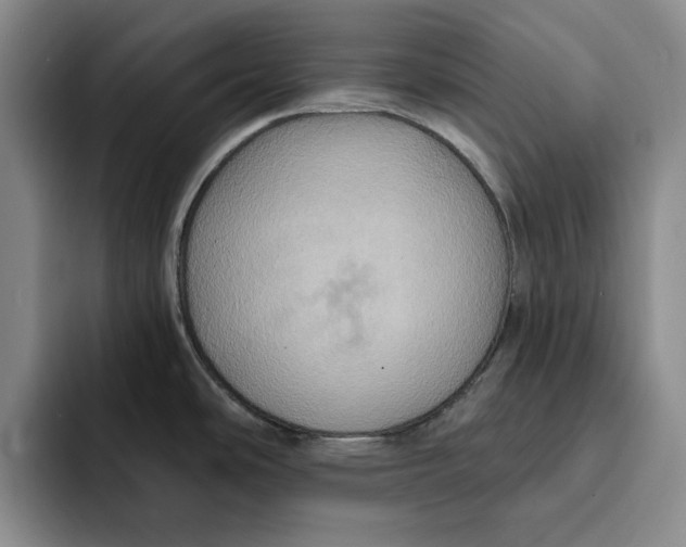 X0000091641486200709201059
