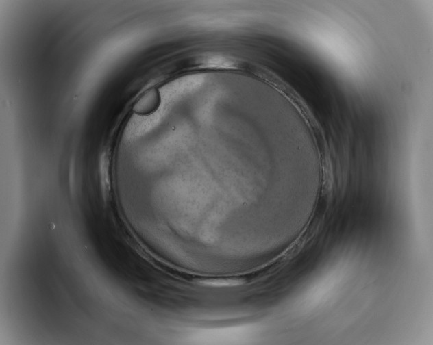 X0000091641487200709201059