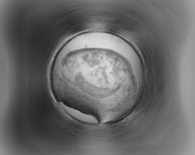 X0000091641488200709201059