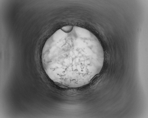 X0000091641489200709201058