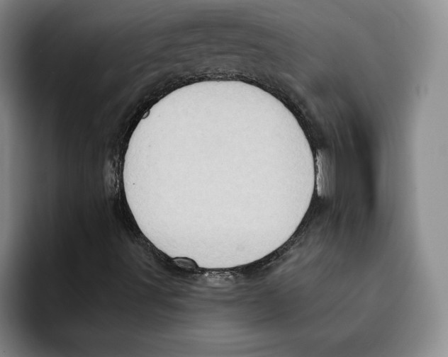 X0000091641491200709201058