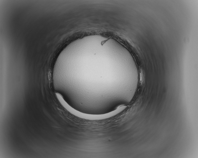 X0000091641492200709201058