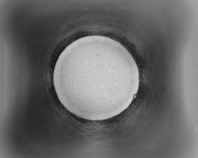 X0000091641493200709201058
