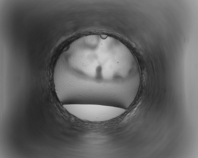 X0000091641494200709201058