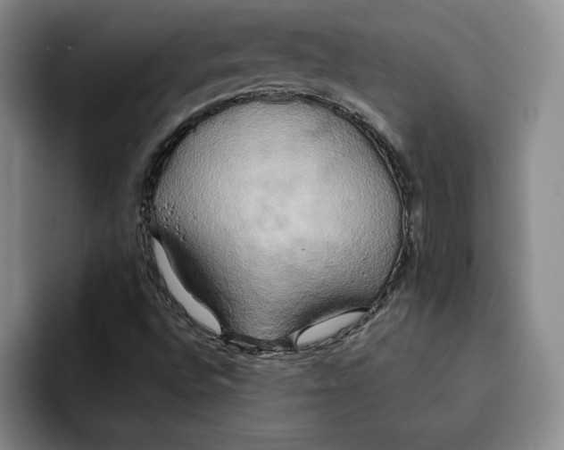 X0000091641496200709201058