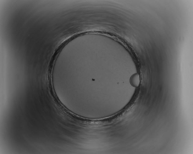 X0000091641497200709201058