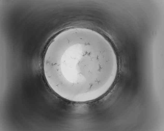 X0000091641498200709201058
