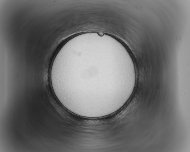 X0000091641499200709201058