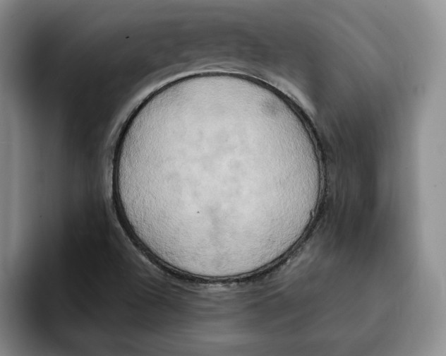 X0000091641504200709201059