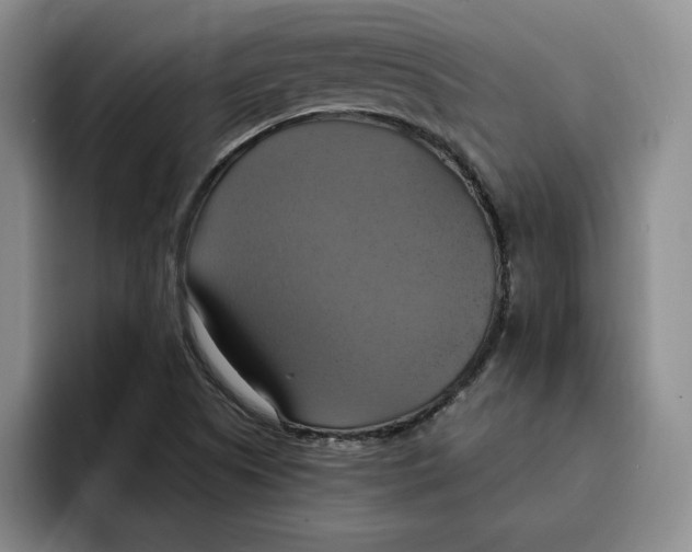 X0000091641505200709201059
