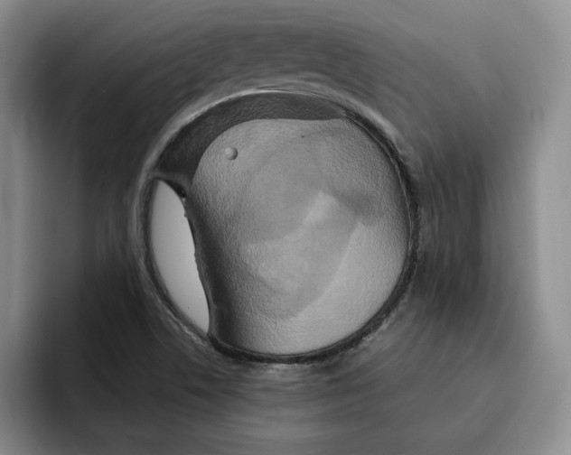X0000091641506200709201059