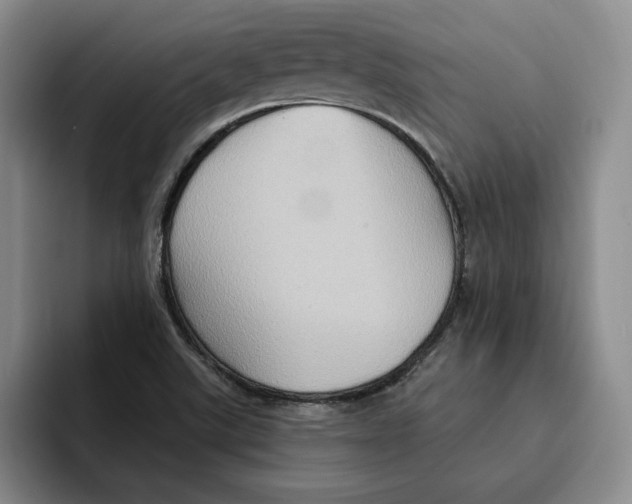 X0000091641507200709201059