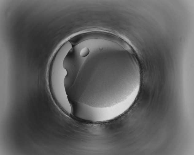 X0000091641508200709201059