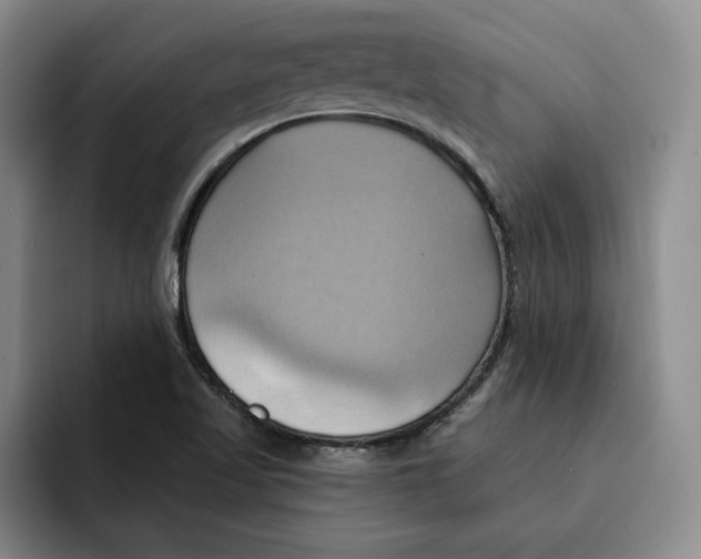 X0000091641509200709201059