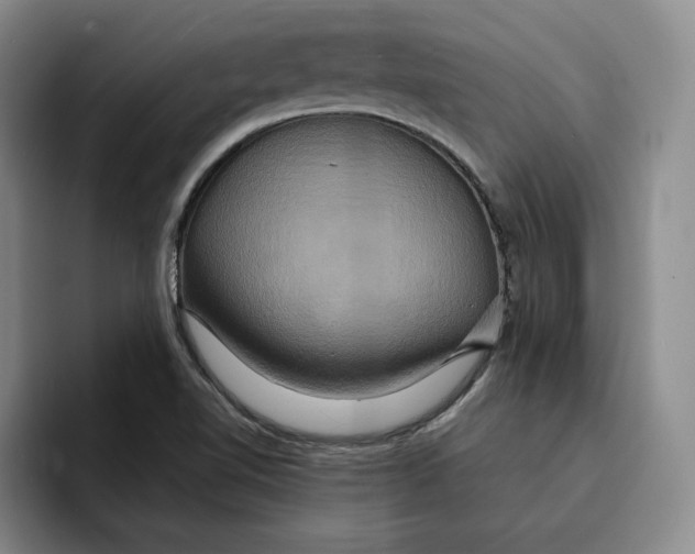 X0000091641510200709201059