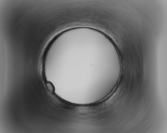 X0000091641511200709201059