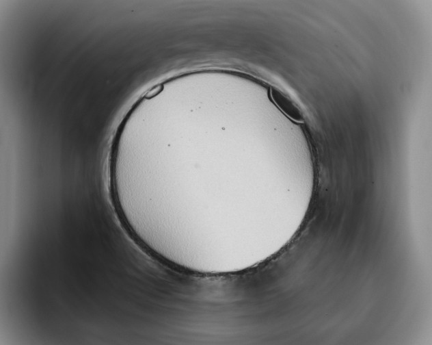 X0000091641512200709201059