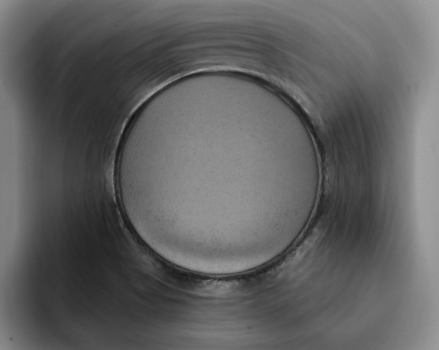X0000091641513200709201059