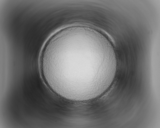 X0000091641514200709201059