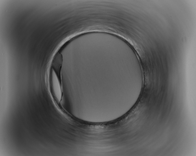 X0000091641515200709201059