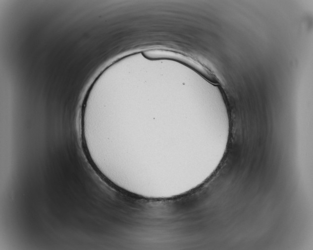 X0000091641516200709201059