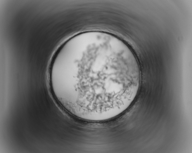 X0000091641517200709201059