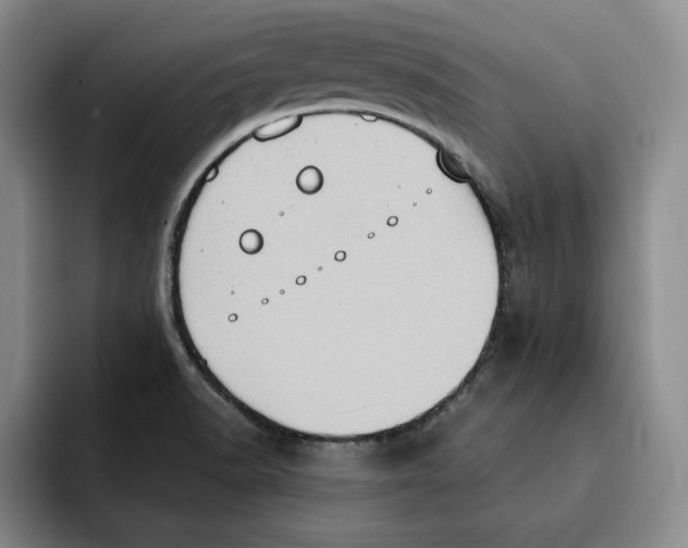 X0000091641518200709201059