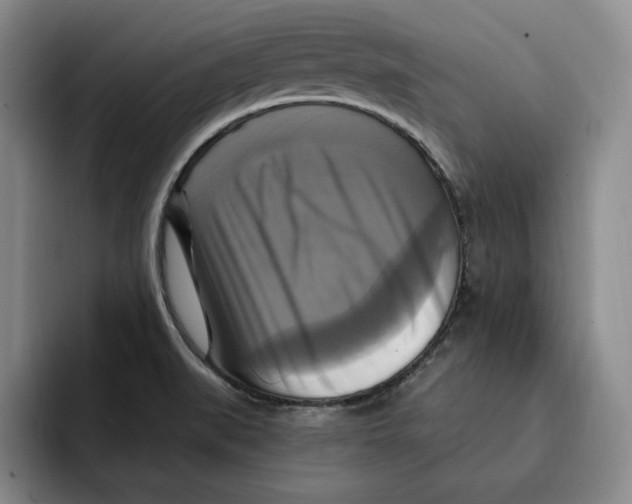 X0000091641519200709201059