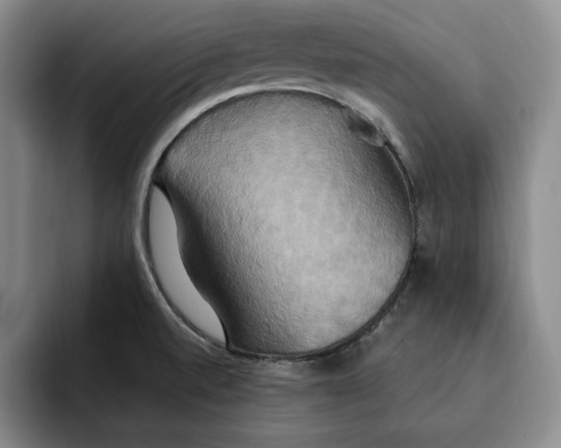 X0000091641520200709201059