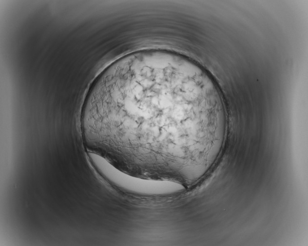 X0000091641521200709201059