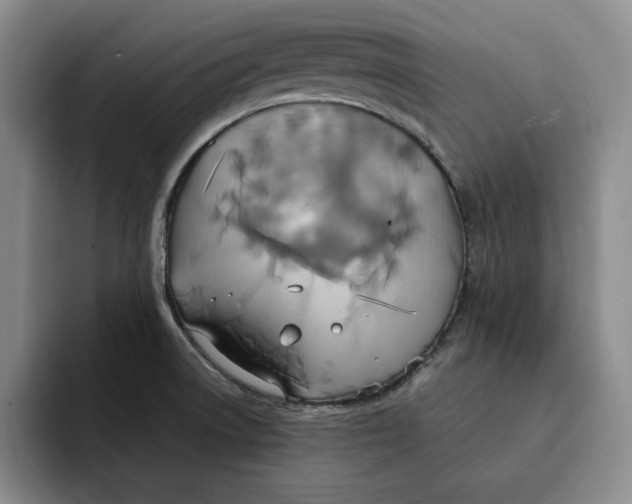 X0000091641522200709201059