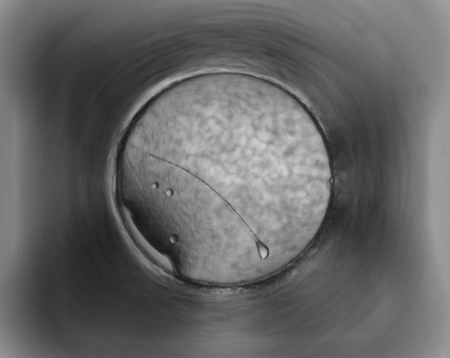 X0000091641523200709201059