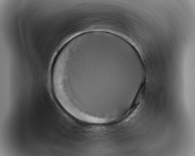 X0000091641525200709201059