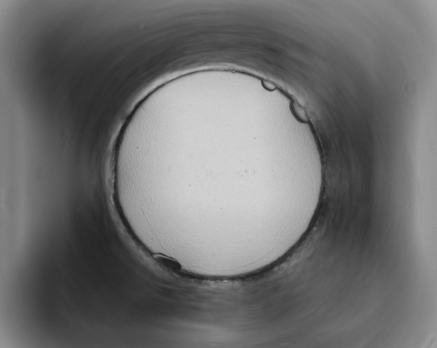 X0000091641526200709201059