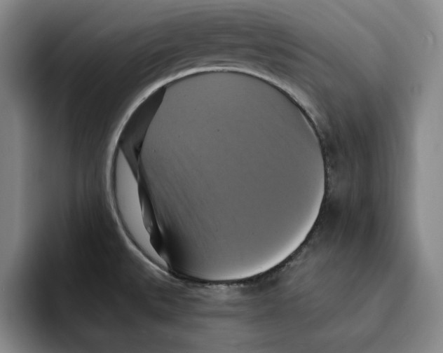 X0000091641527200709201059