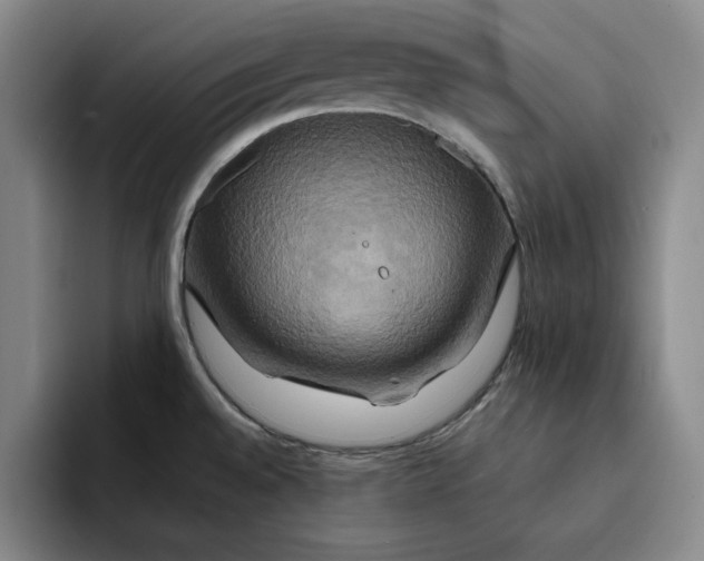 X0000091641528200709201059