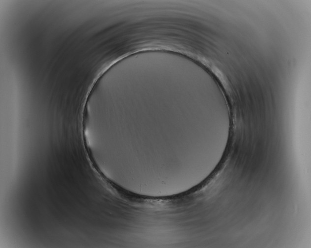 X0000091641529200709201059
